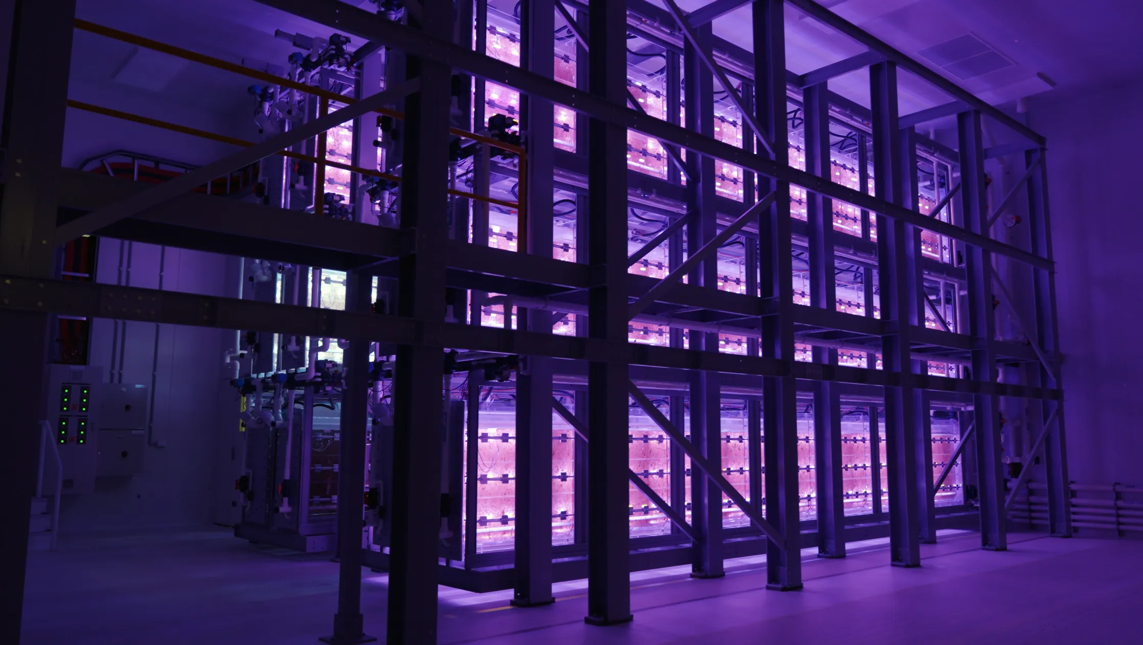 Precision Photosynthesis lighting across the bioreactor foundry