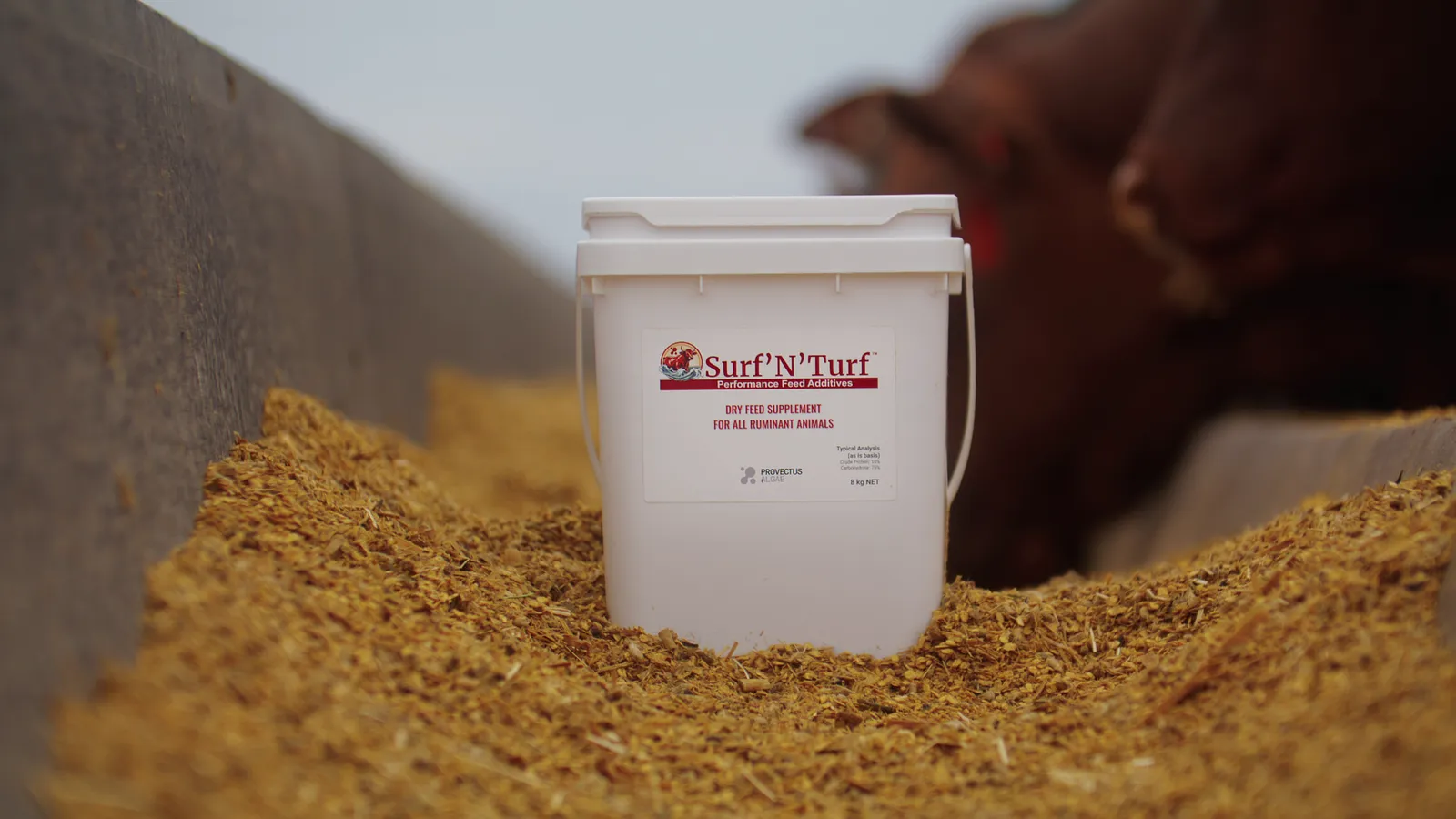 A tub of Surf'N'Turf dry feed supplement in a feed bunker with cattle